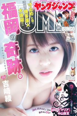 追光的日子电视剧