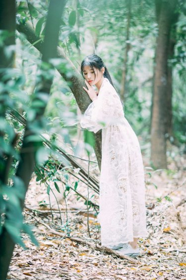 秦江沈如霜小说在线阅读